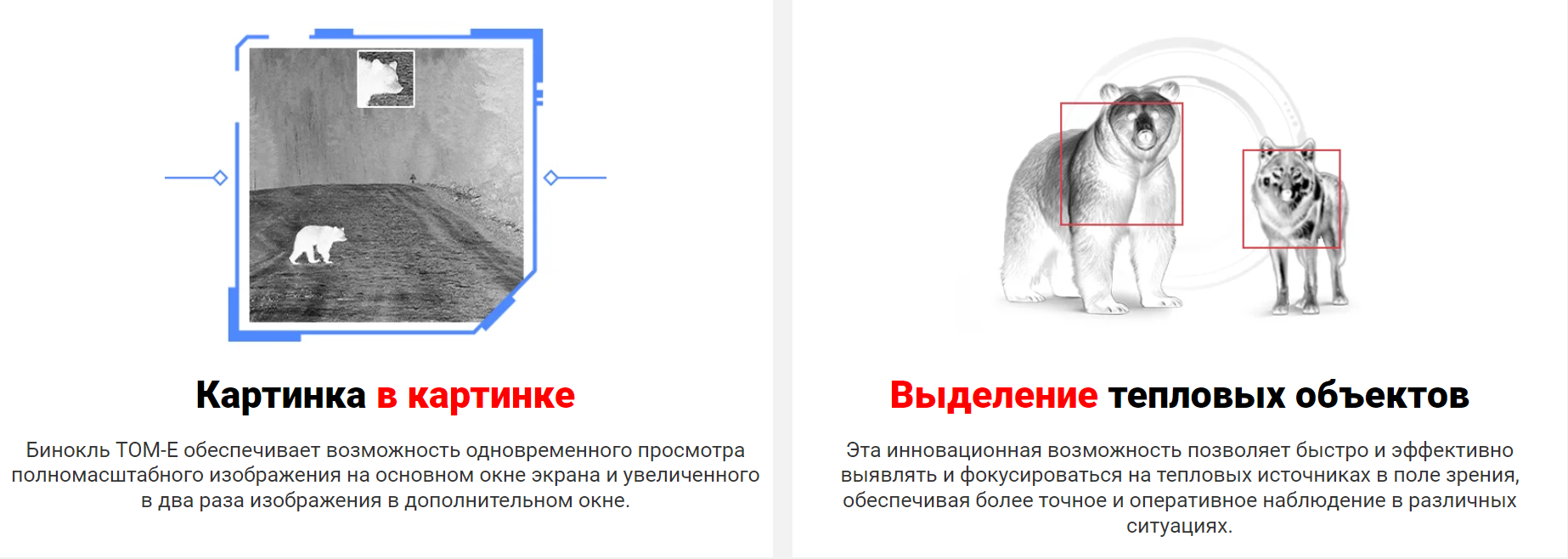 особенности iRay TOM-E