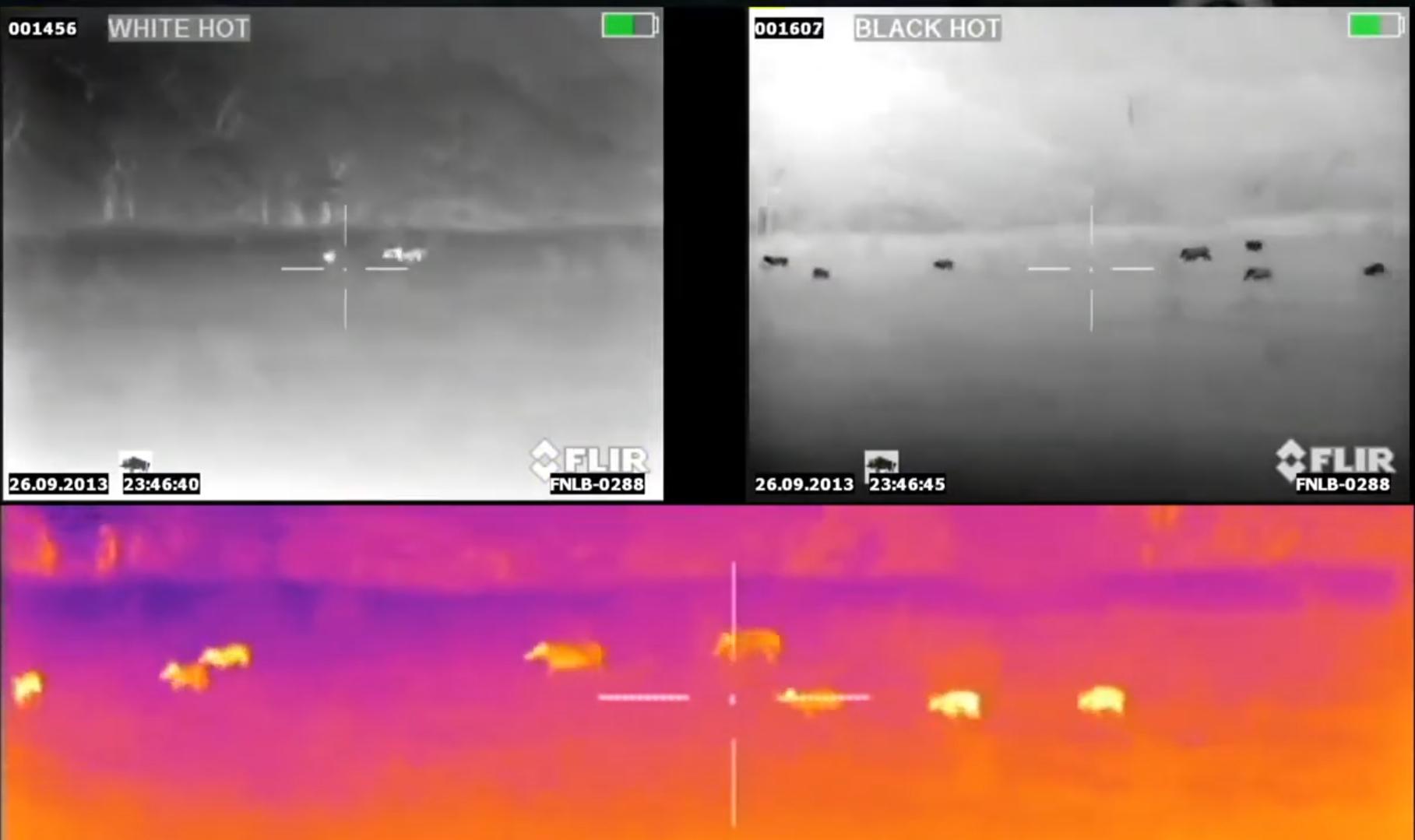 тепловизионный прицел Armasight Zeus 336 3-12x42 (30HZ)