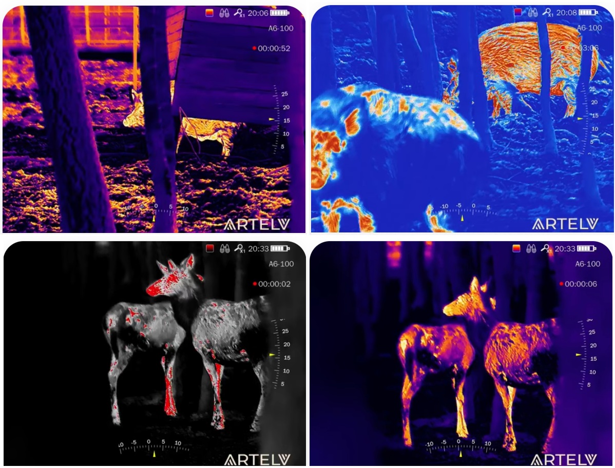 качество картинки прицела Artelv Atomos 3.4x35мм 384x288 LRF