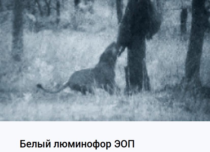 внешний вид Dedal Dedal-555-DK3/bw