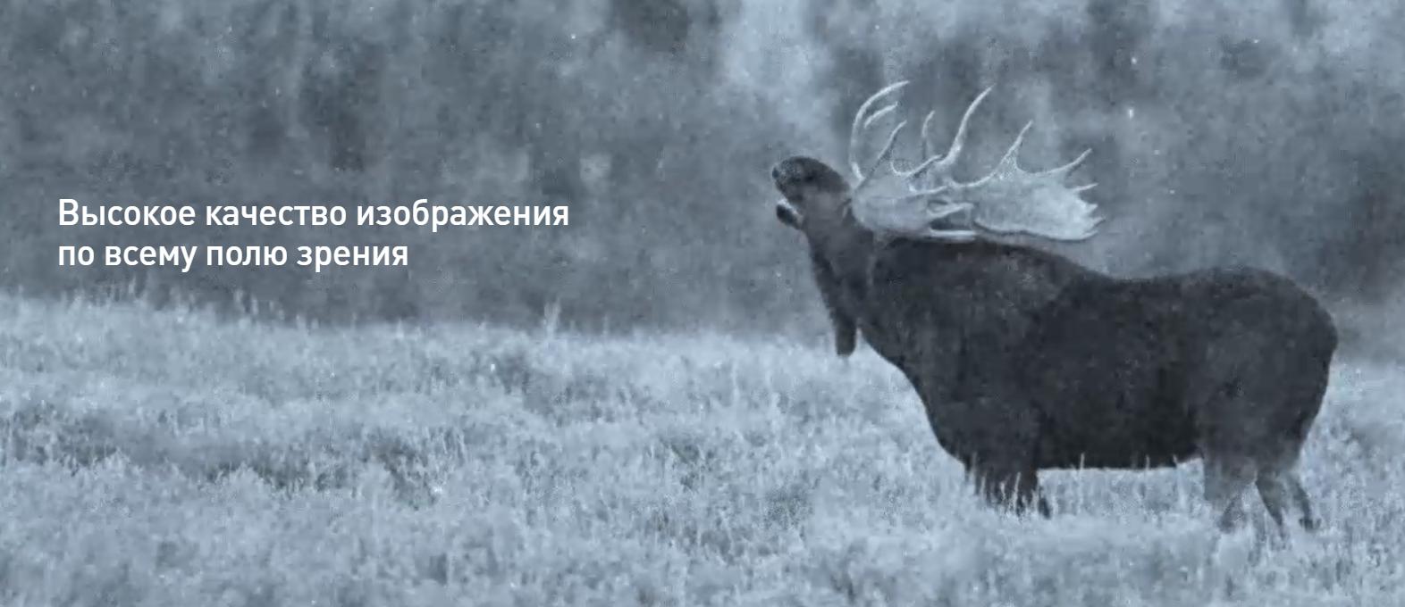 особенности Dedal Dedal-555-DK3/bw
