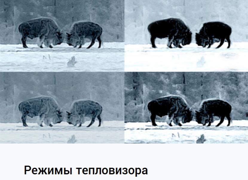 демонстрация Dedal-T2.385 Hunter LRF