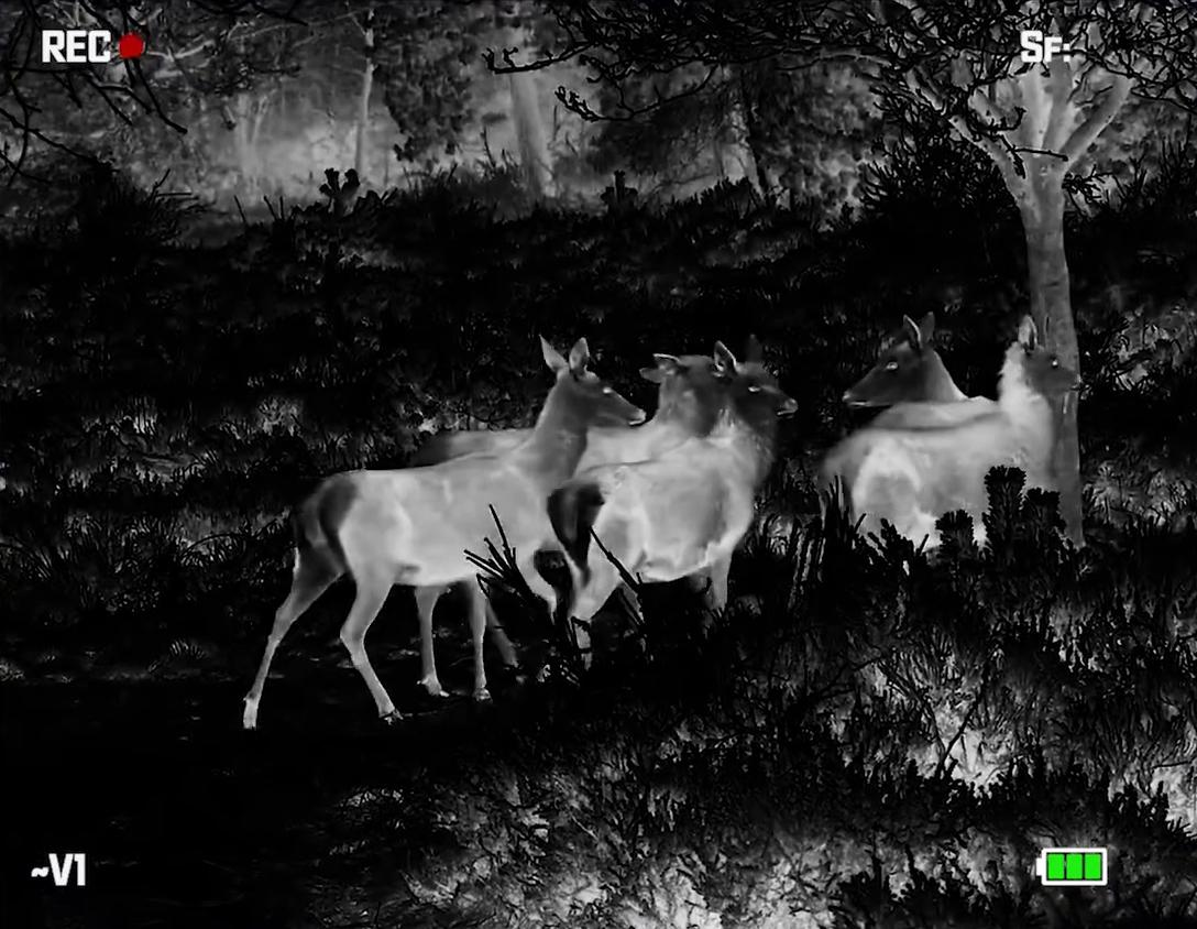 корпус Fortuna Mono LRF