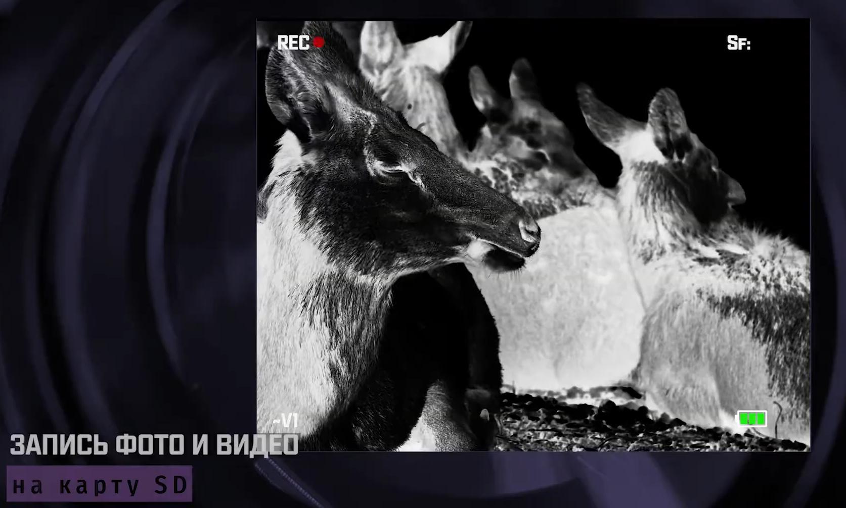 тепловизионный монокуляр Fortuna Mono LRF