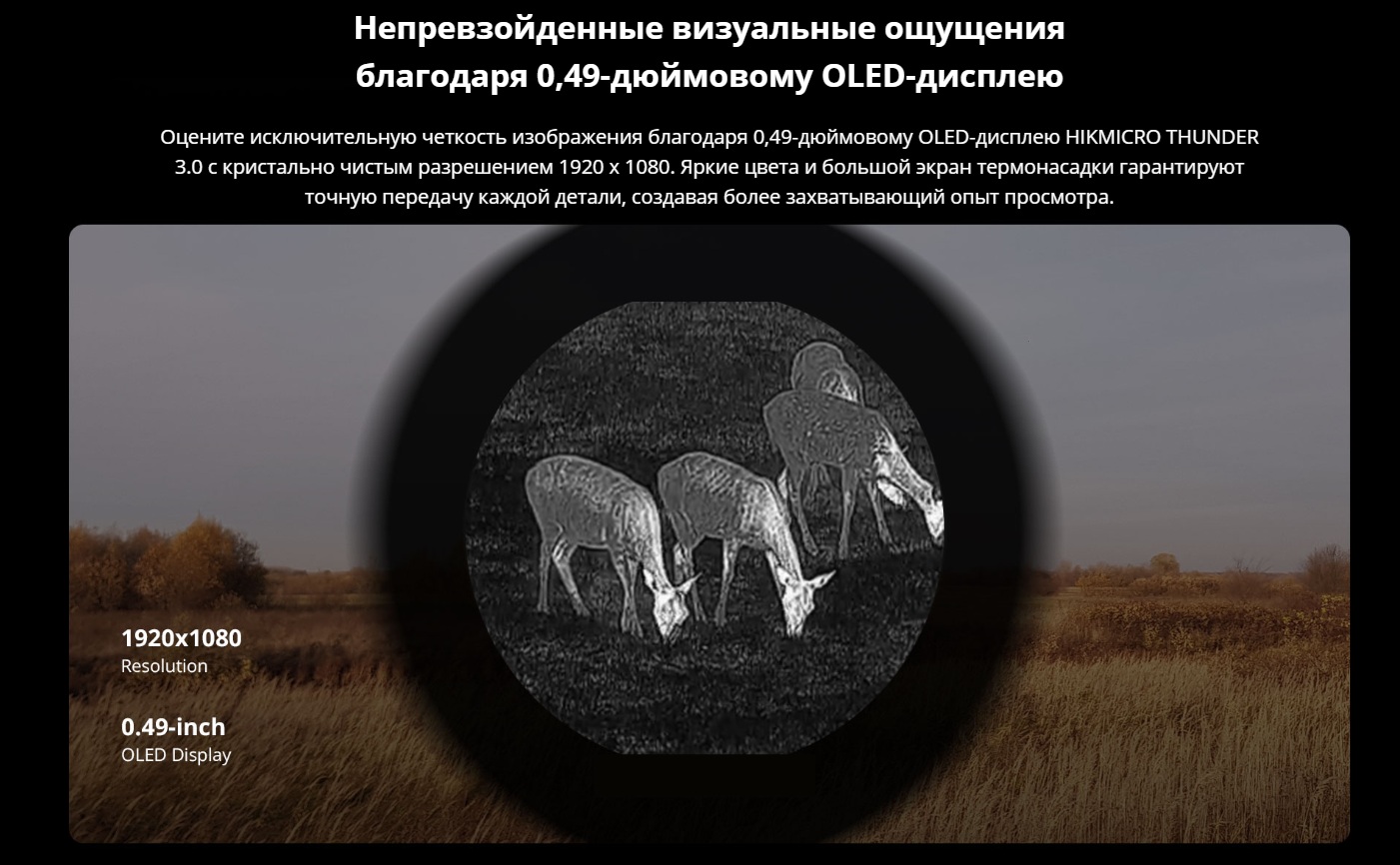 внешний вид модели Hikmicro Thunder TQ50CL 3.0