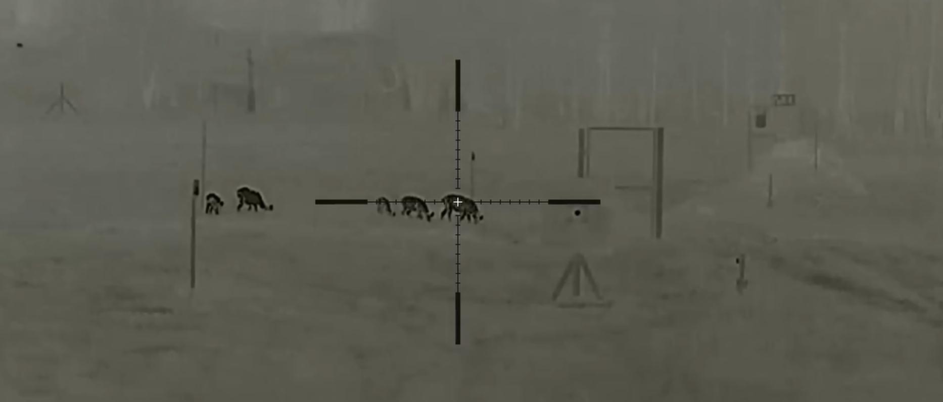 тепловизионный прицел Longot TL650P