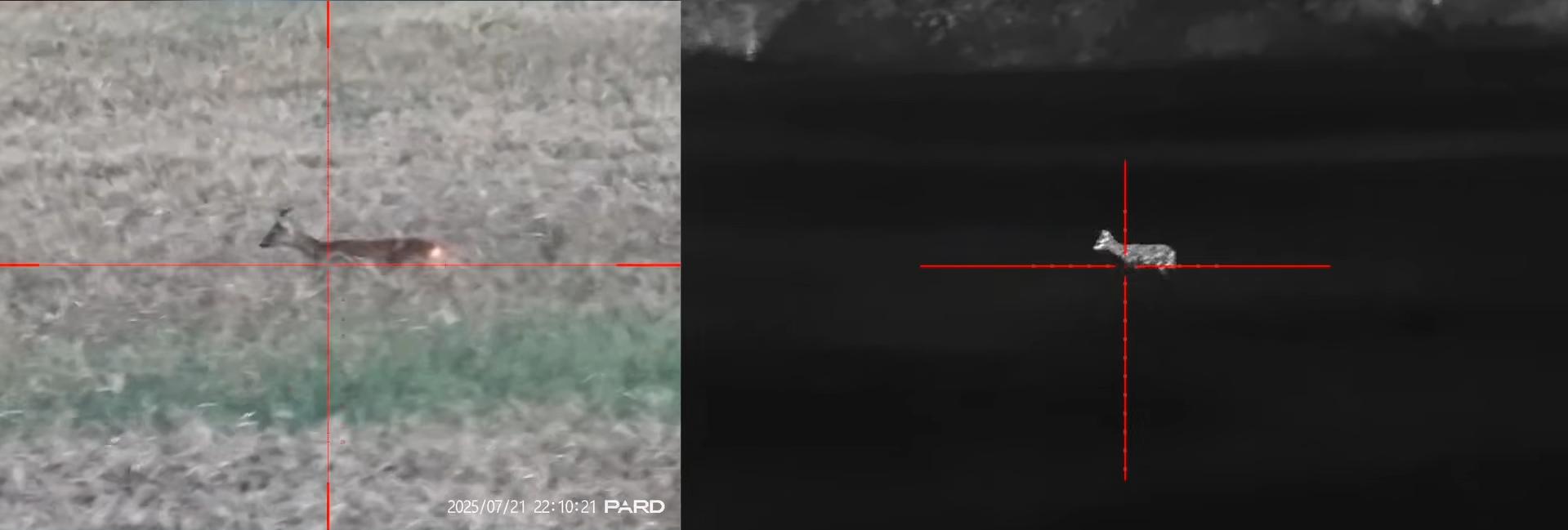 портативность Pard Landsat 640 Compact (LA6C-45/70/850/LRF)