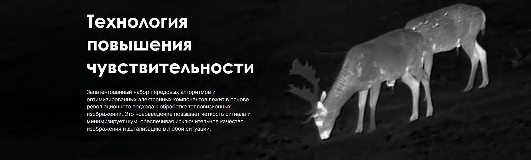 особенности модели Pulsar Oryx