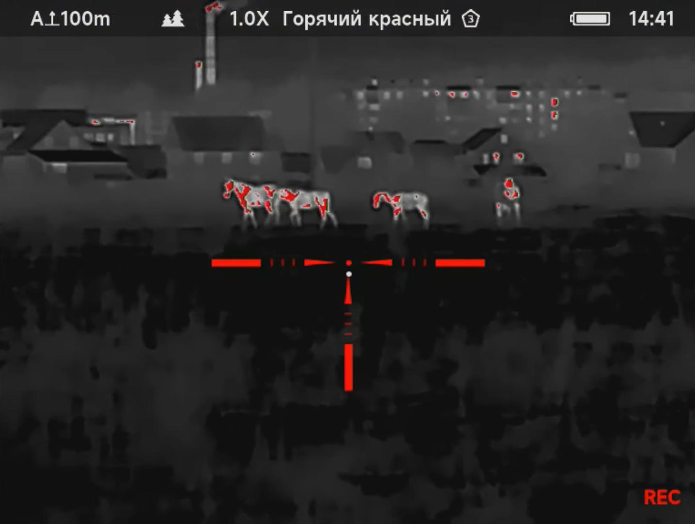 внешний вид RedRay Rem 335R