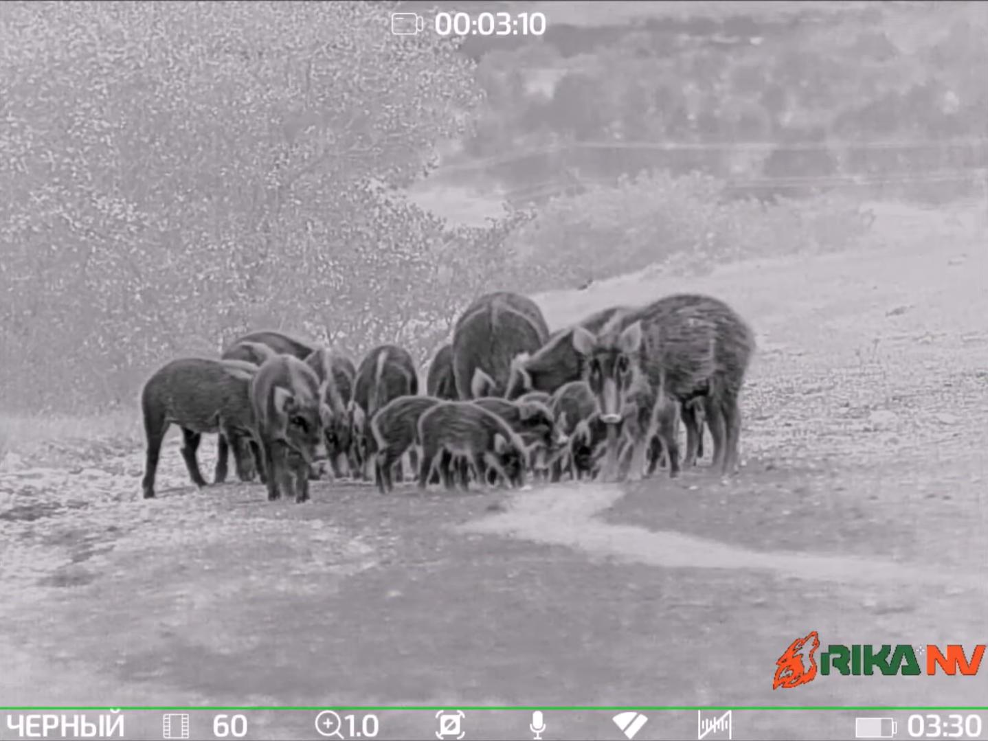 фото RikaNV Hypnose2 660D