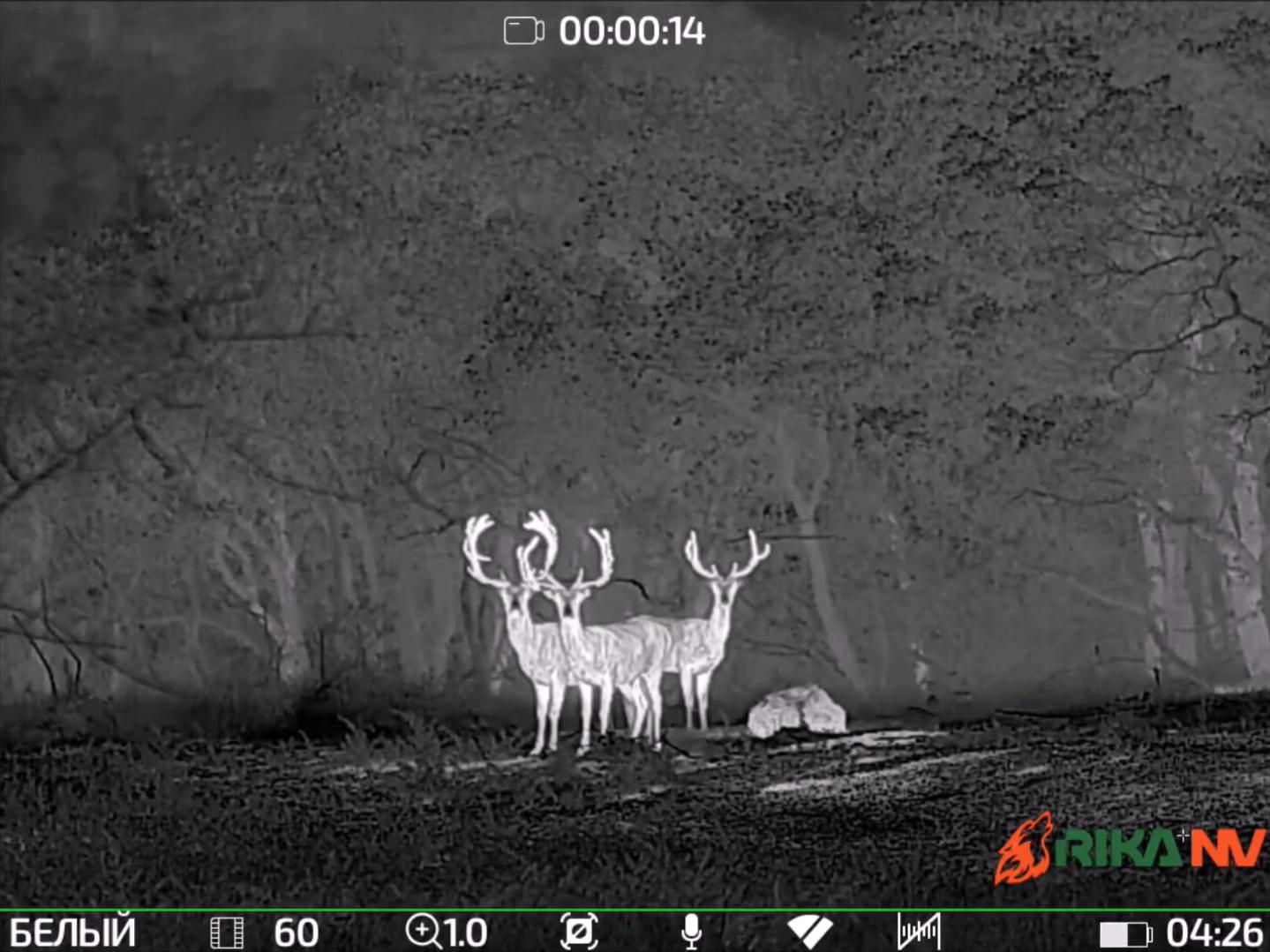 характеристики RikaNV Hypnose2 660D