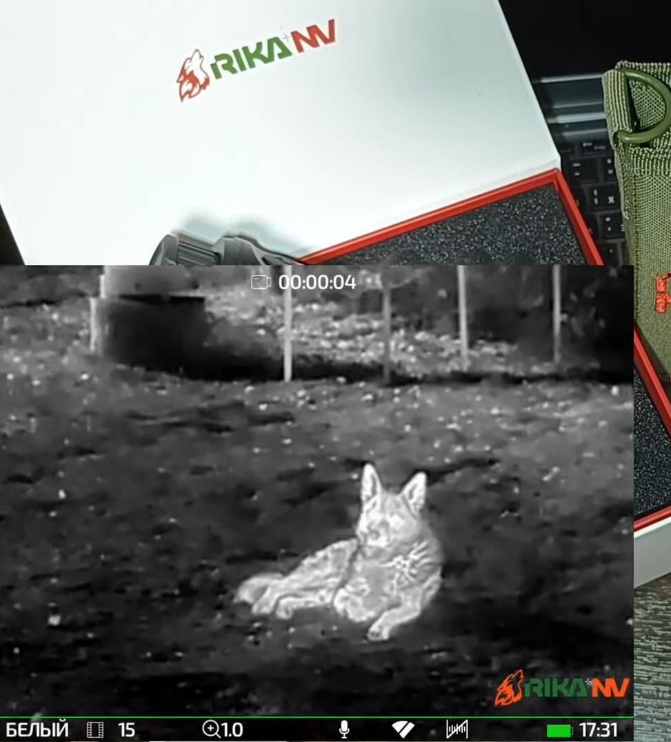 фото RikaNV Surok L15