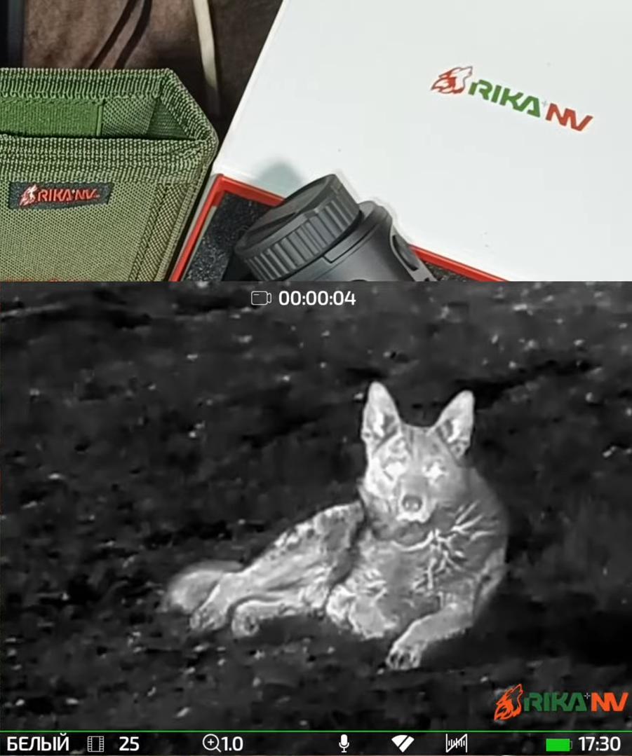 фото RikaNV Surok L25