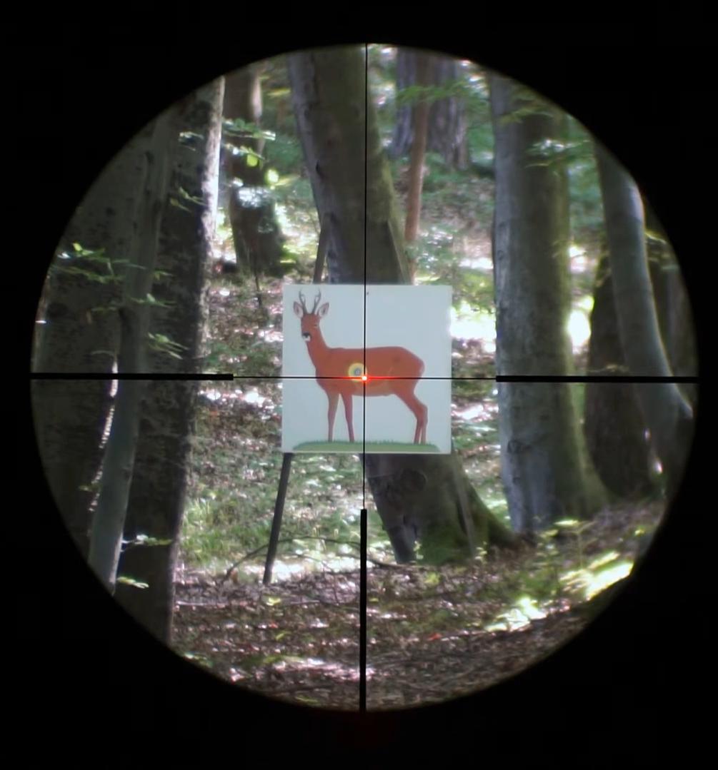 фото Steiner Nighthunter Xtreme 2-10x50 (Zeiss)