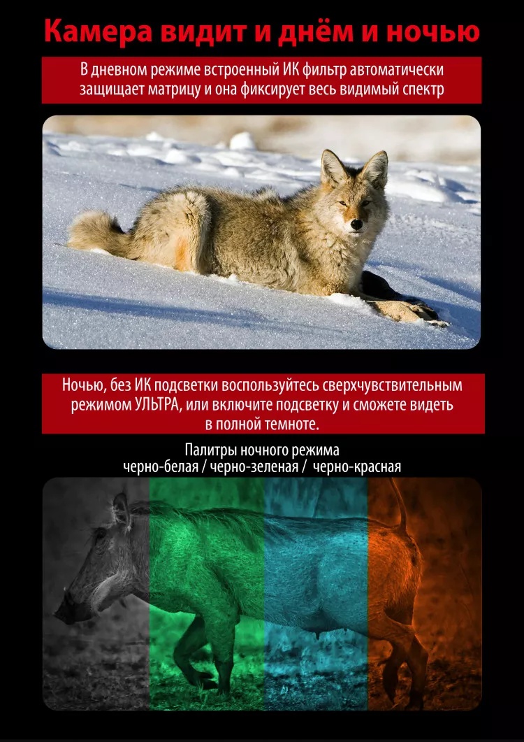 особенности Sturman 6-36x50 B PRO