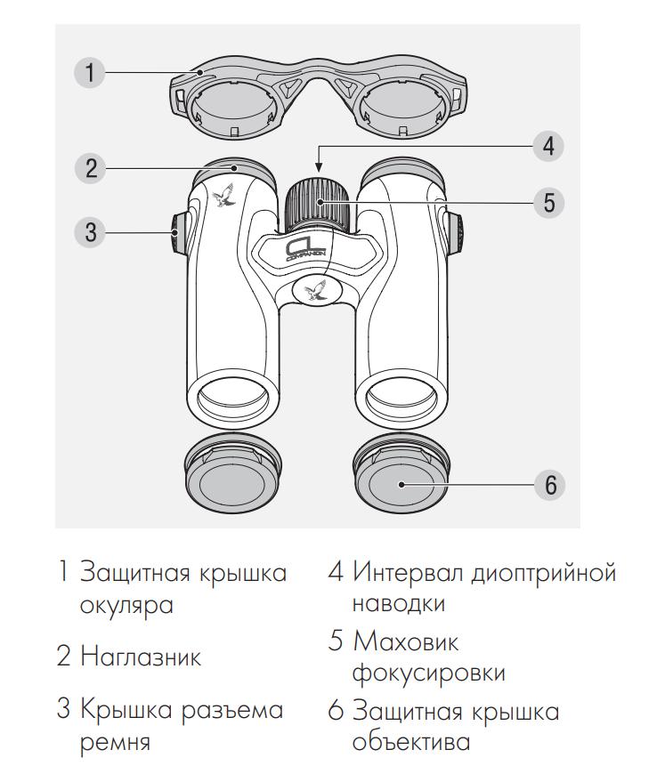 фото Swarovski CL Companion 10x30 anthracite Wild Nature