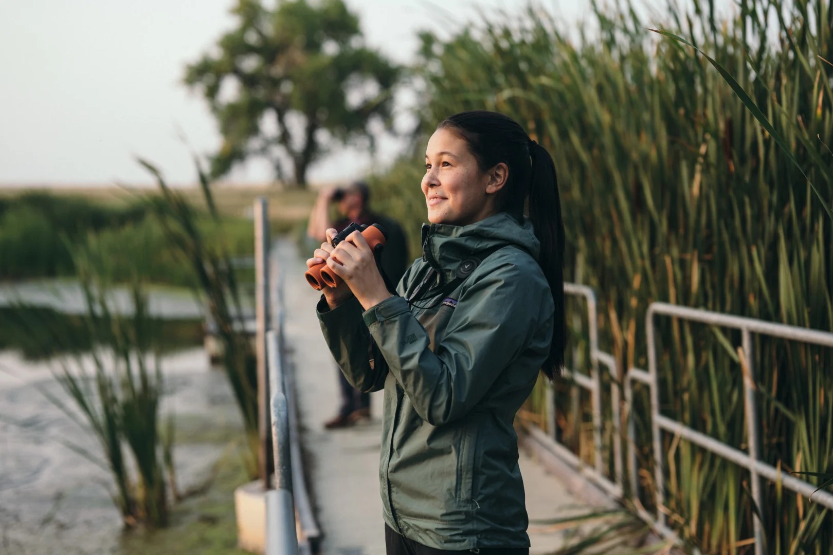 оптический бинокль Swarovski NL Pure 10x42 green