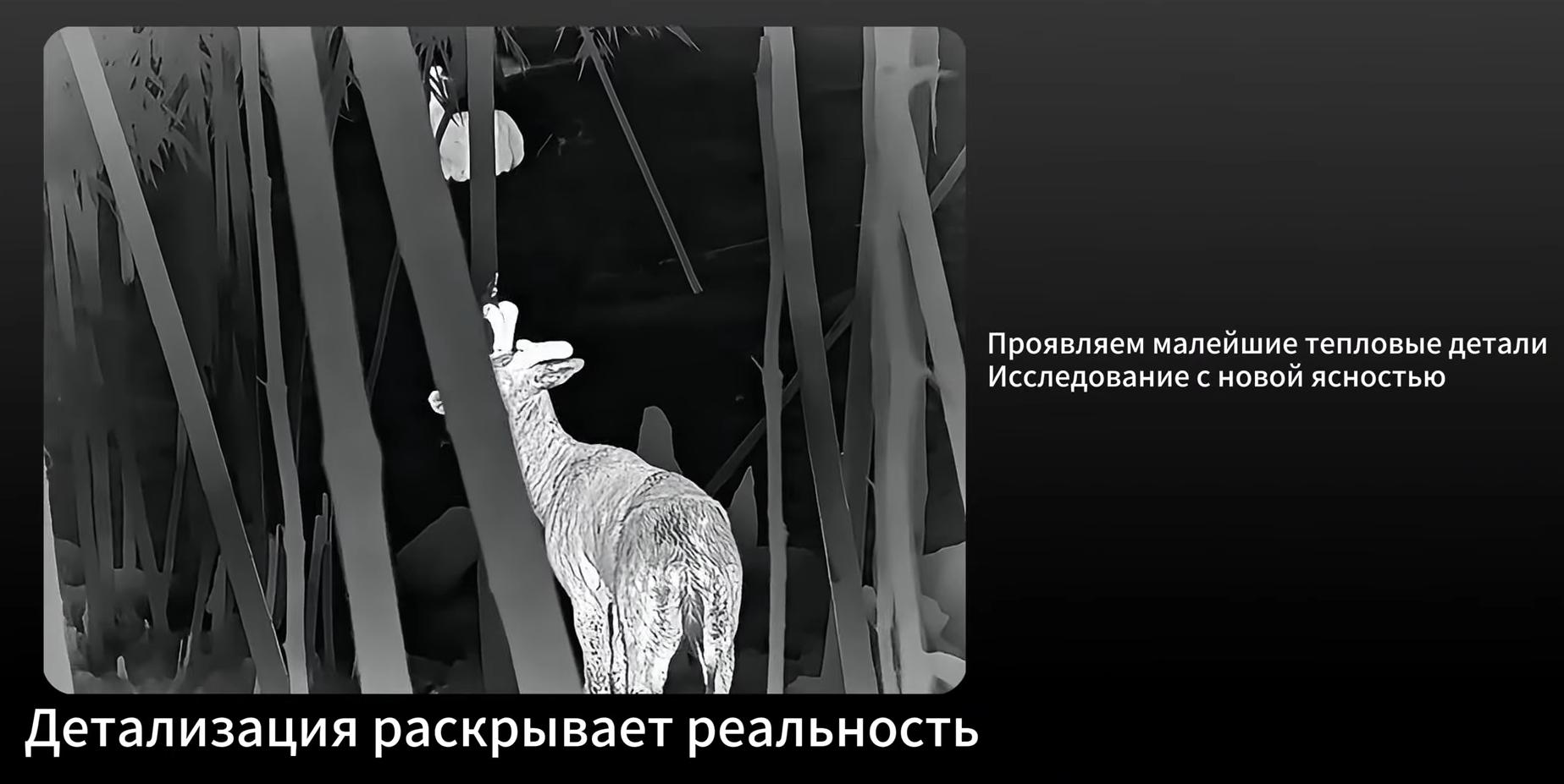 тепловизионный монокуляр Sytong JS06-25