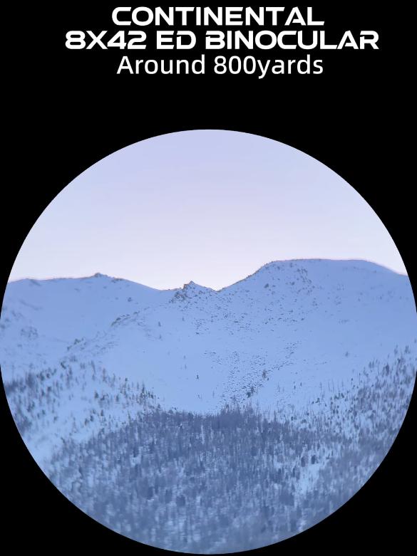 характеристики Vector Optics Continental 8х42 ED GREEN (SCBO-14)