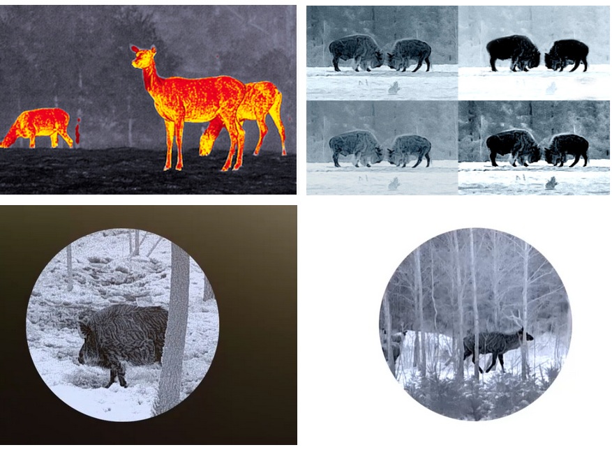 качество картинки тепловизора Dedal Дуэт