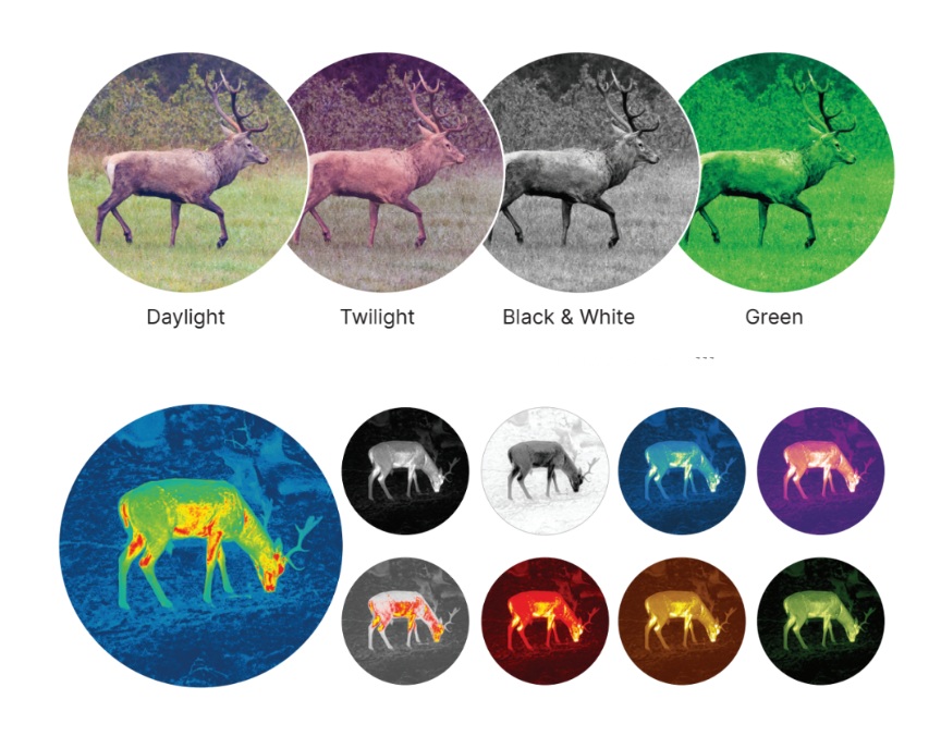 качество картинки бинокля Pulsar Symbion LRF DXT50